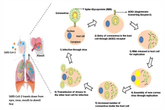 Point of care detection of COVID-19